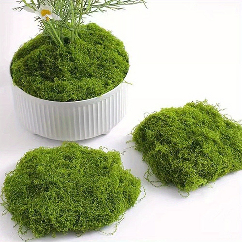 Green Fake Moss DIY Crafts Gra - Terrarium Moss Art recension och pris
